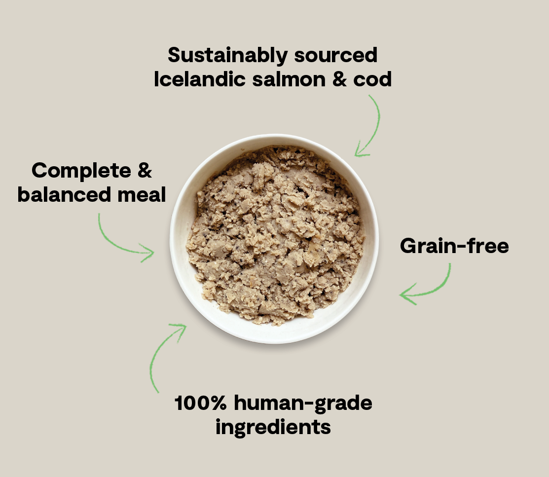 Wet Dog Food product image 5