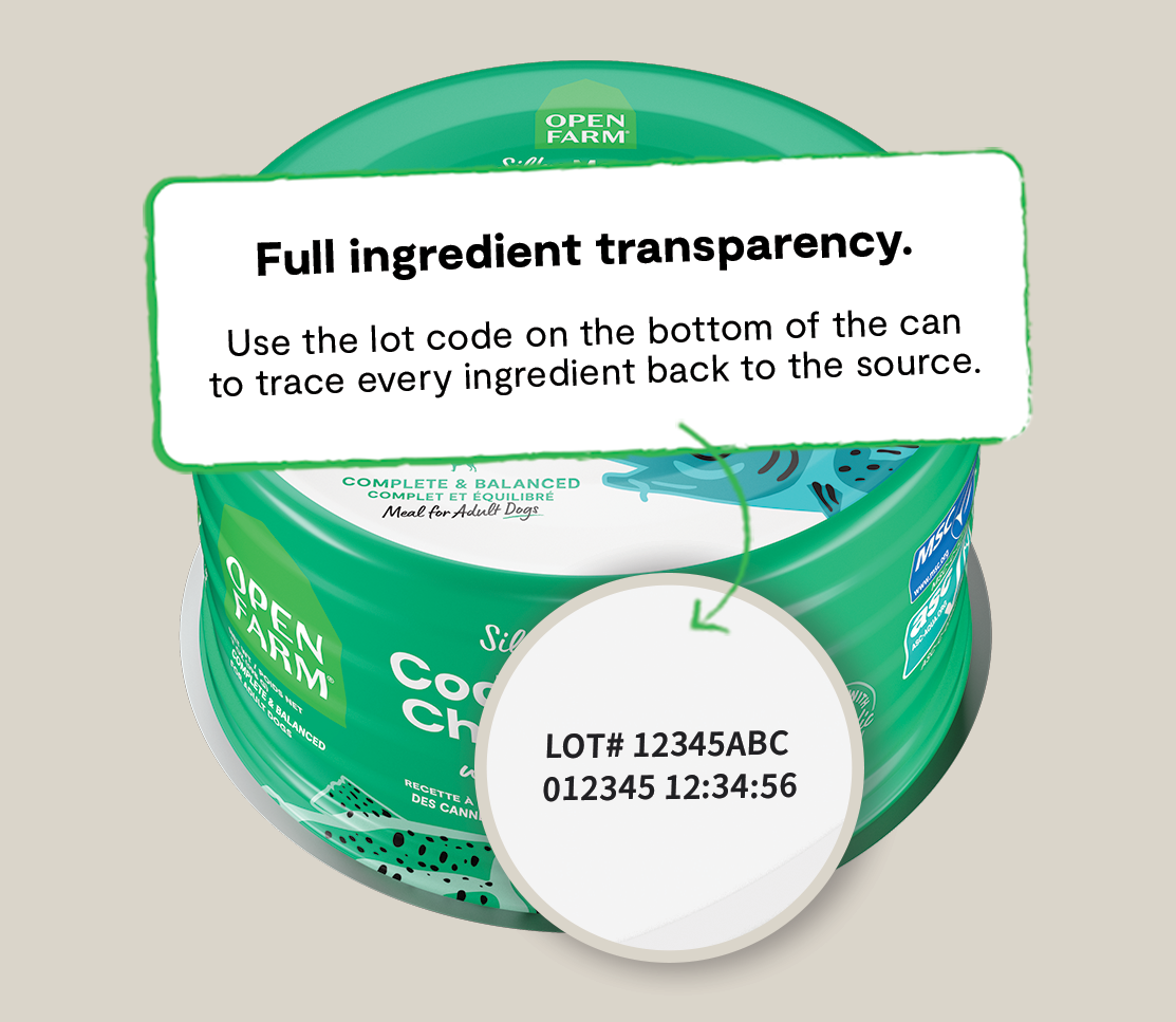 Wet Dog Food product image 4