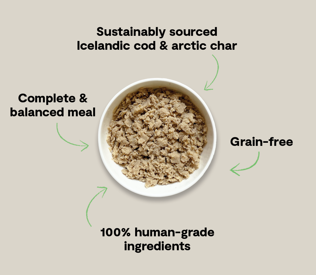Wet Dog Food product image 5