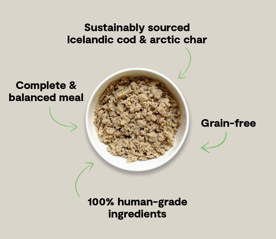 Wet Dog Food product image 5
