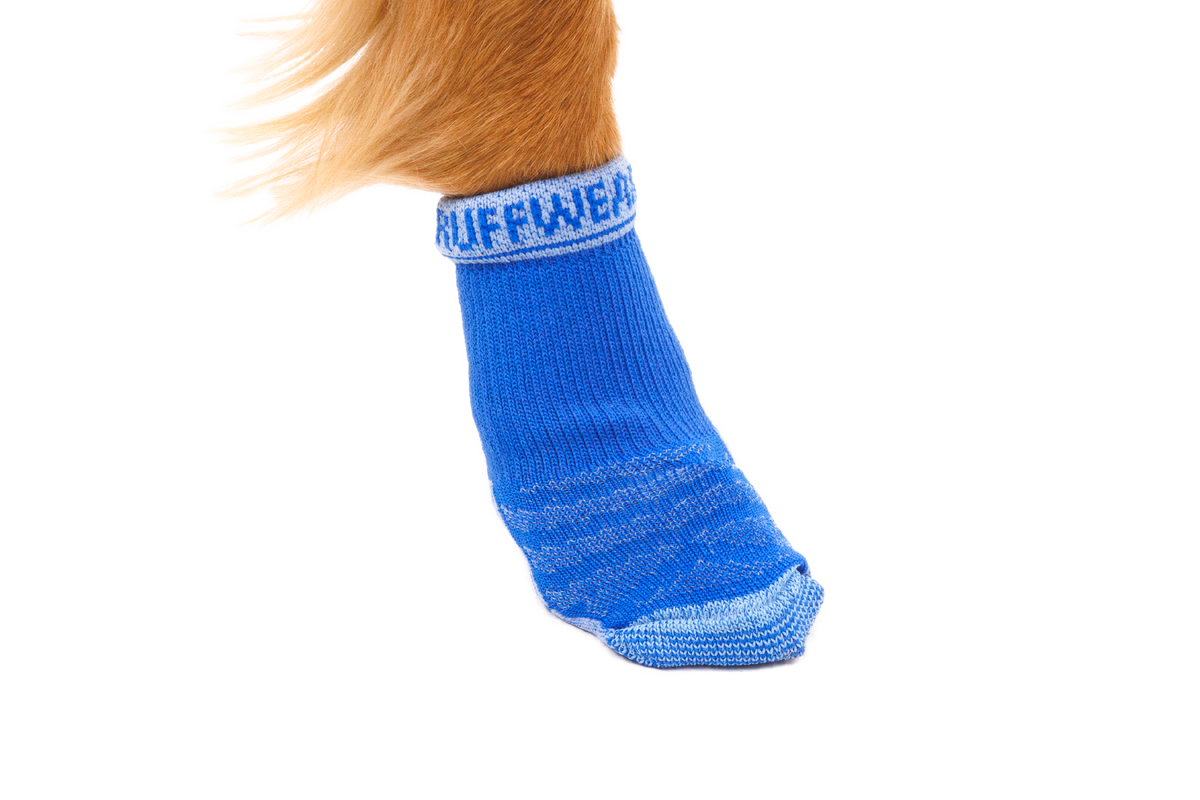 Dog Socks product image 5