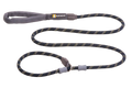 Slip Lead Dog Leash product image 2