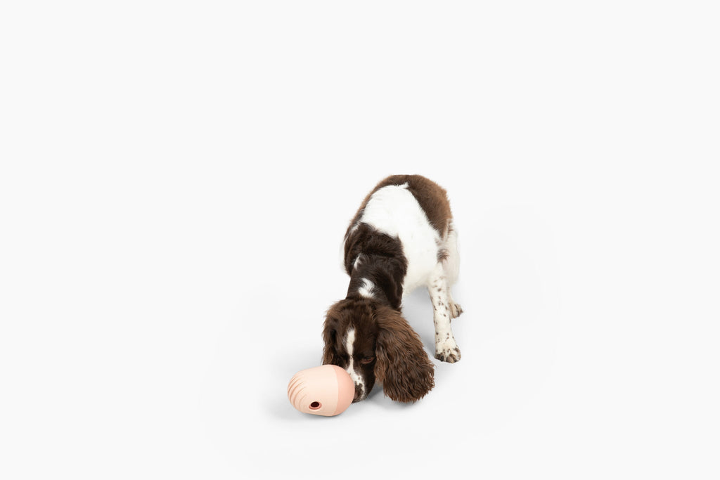 Dog Treat Bites product image 6