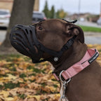 Flexible Dog Safety Muzzle product image 3