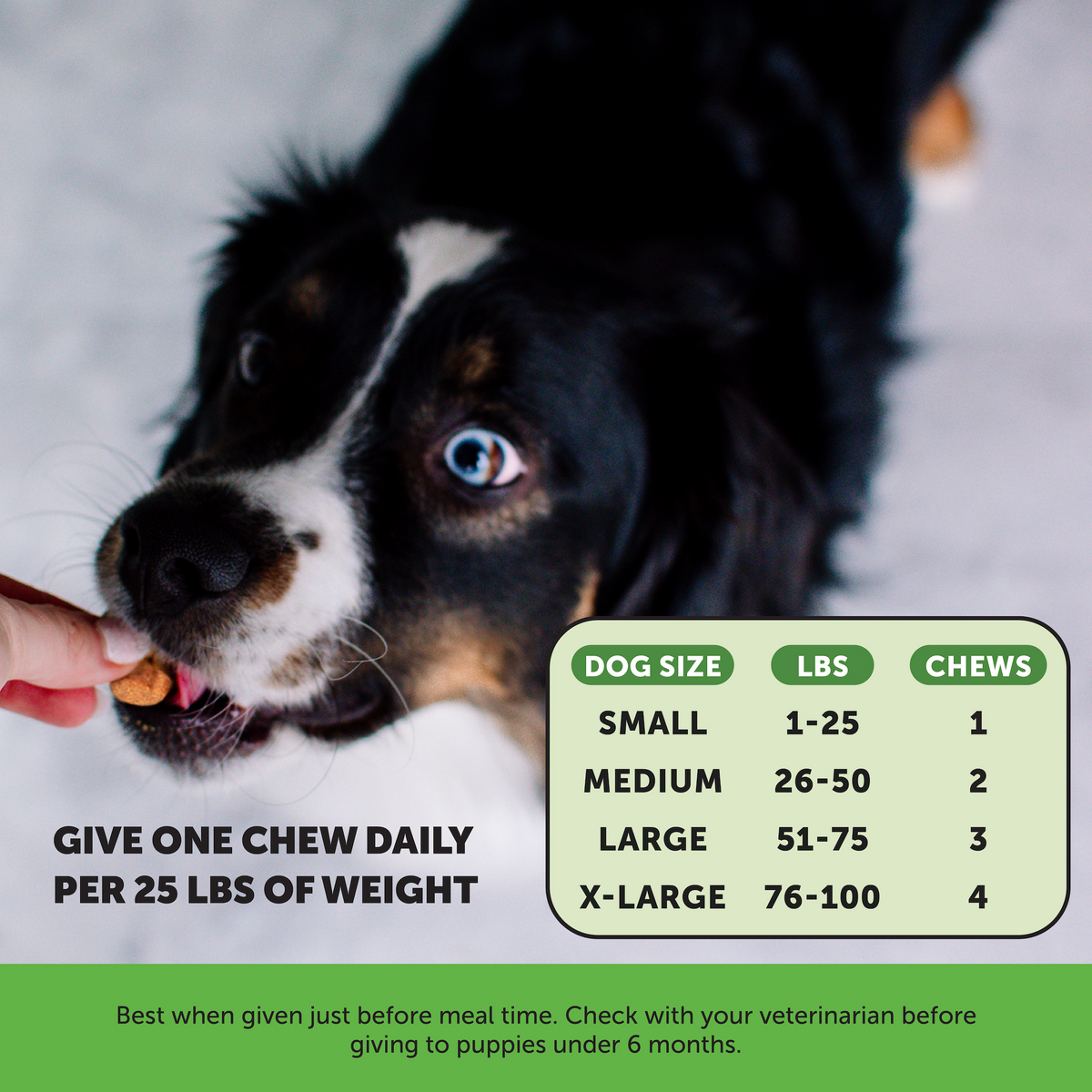 Dog Supplement Bundle product image 18