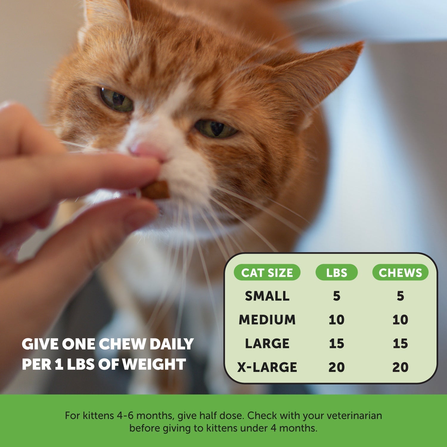Cat Supplement Bundle product image 4