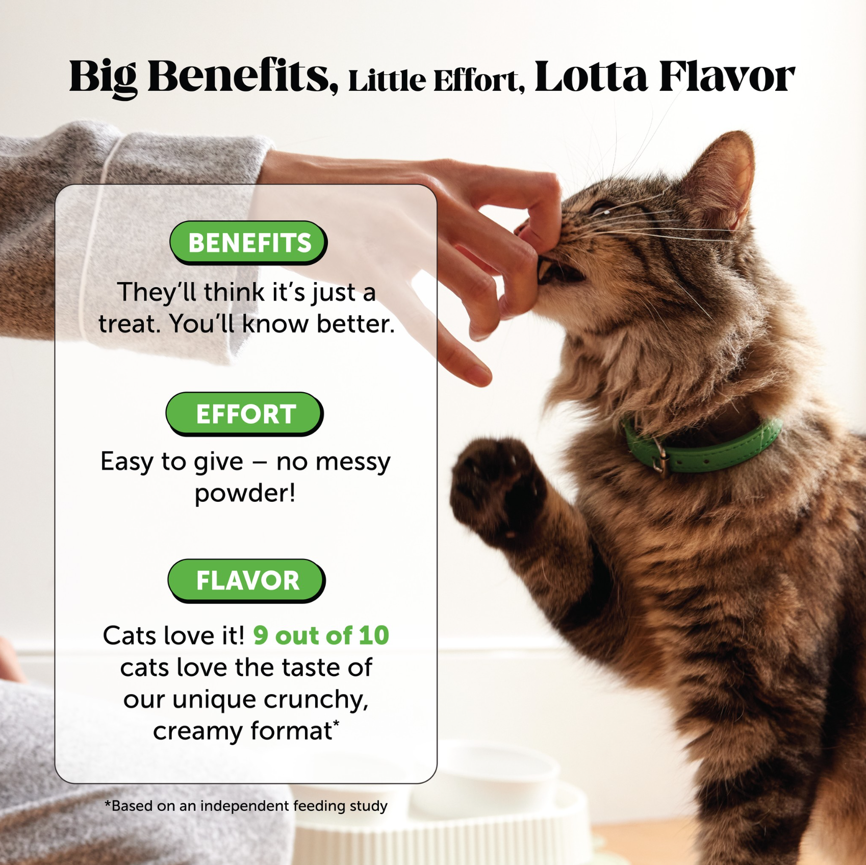 Cat Supplement Bundle product image 7