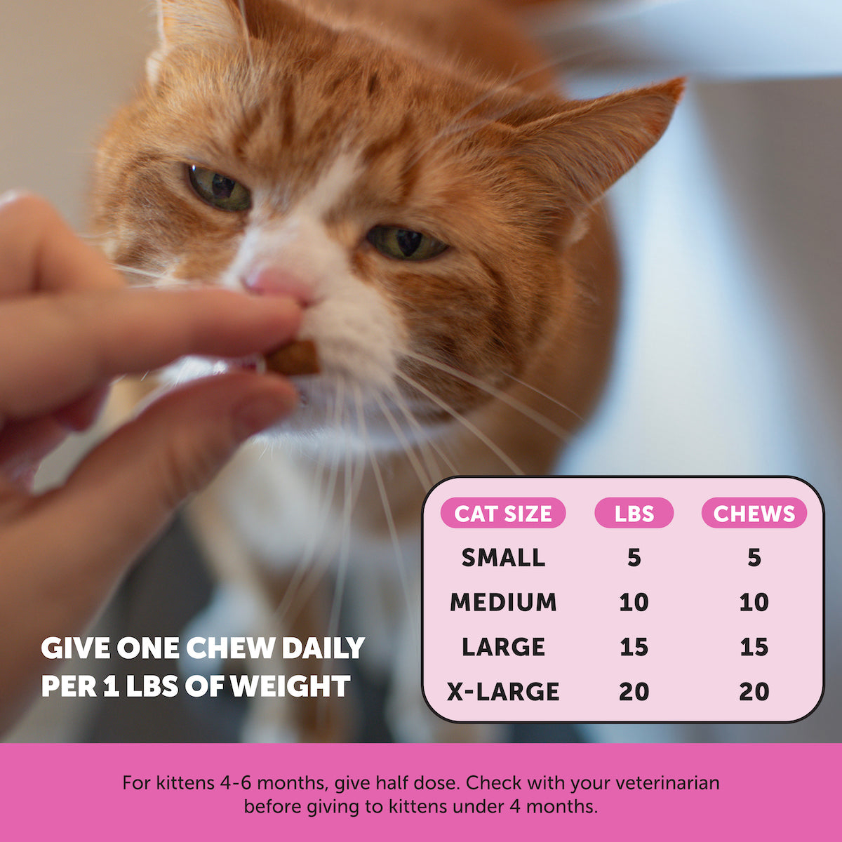 Cat Supplement Bundle product image 14