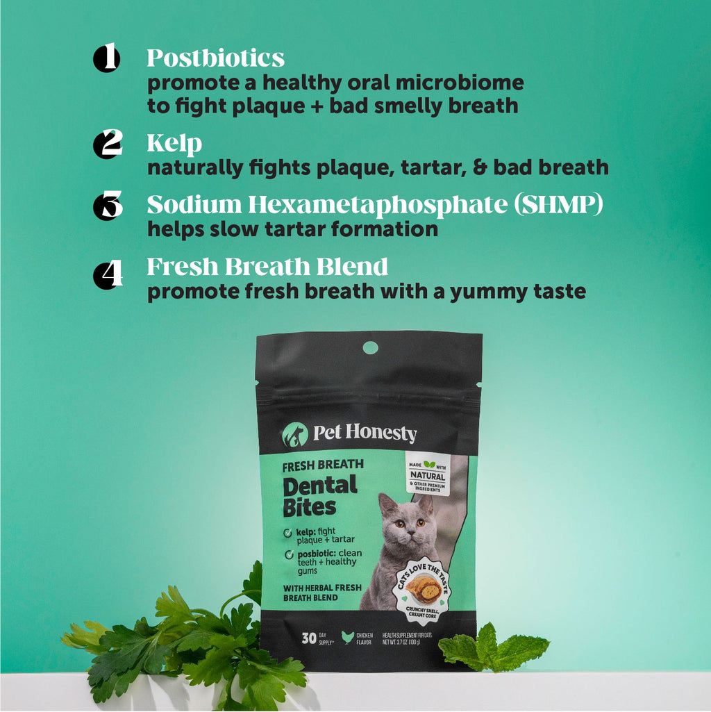 Cat Supplement Bundle product image 17