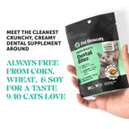 Cat Supplement Bundle product image 19
