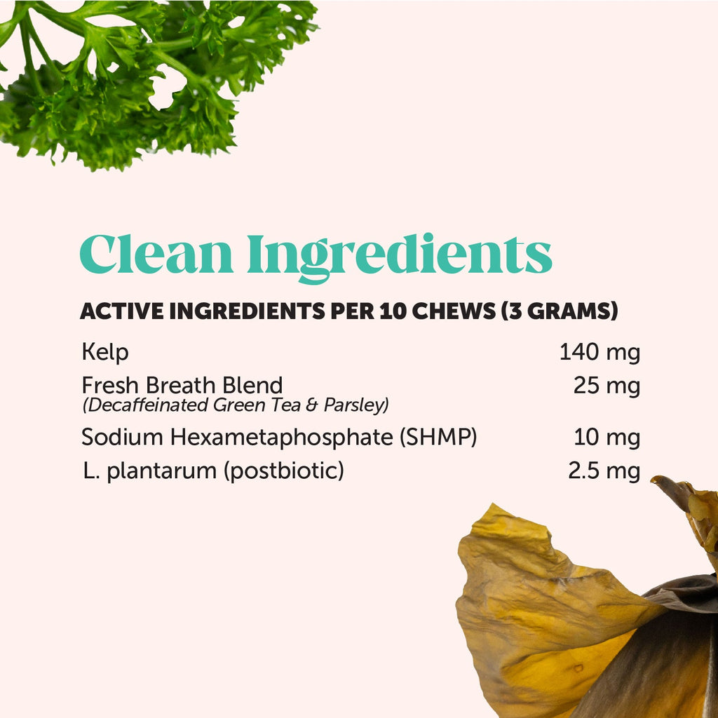 Cat Supplement Bundle product image 20