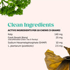 Cat Supplement Bundle product image 20
