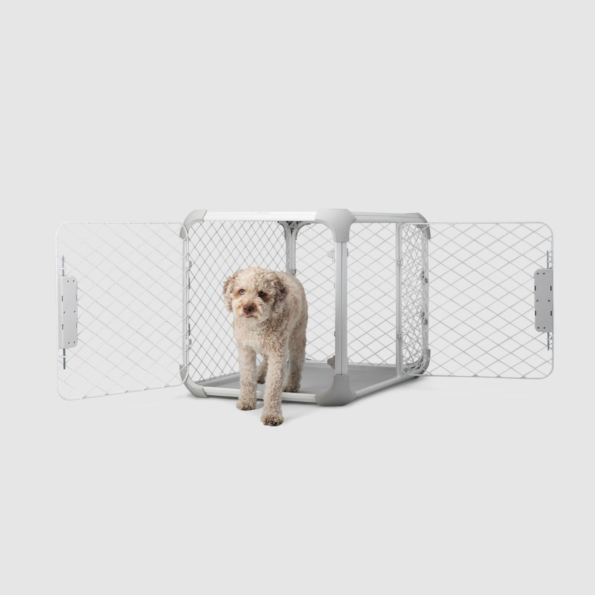 Dog Crate product image 4