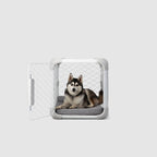 Dog Crate product image 16