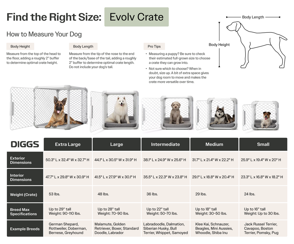 Dog Crate product image 22