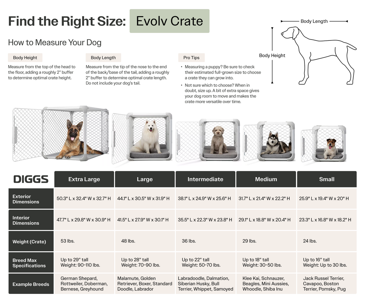 Dog Crate product image 22