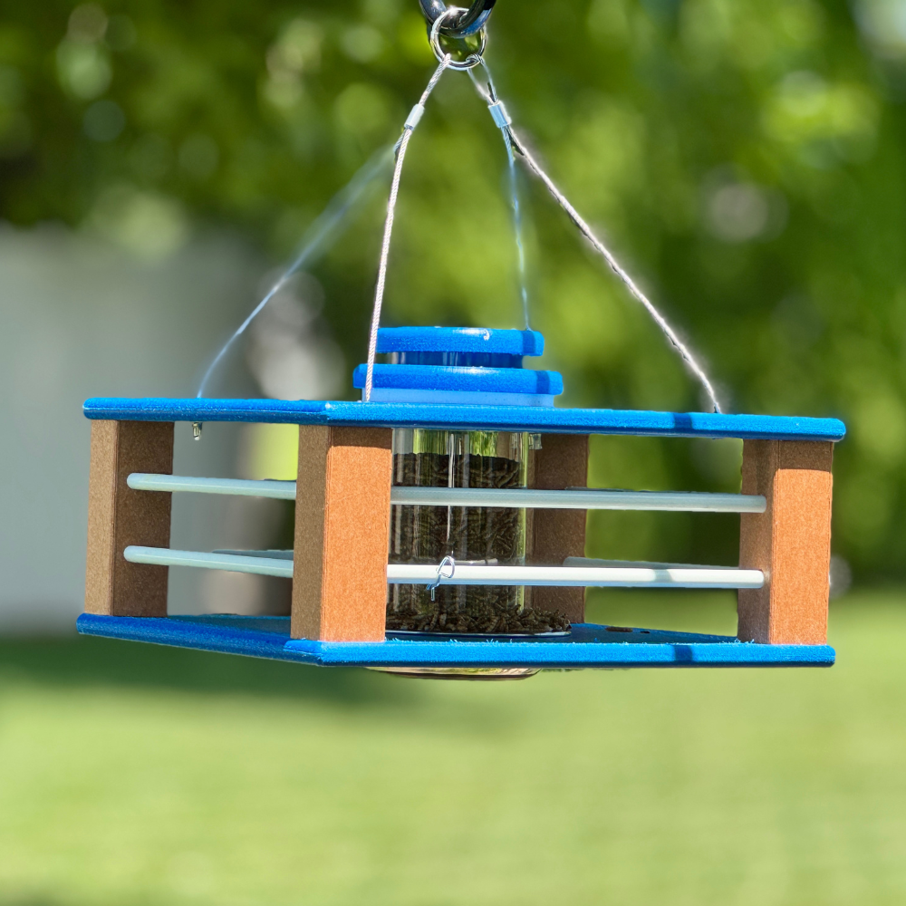 Eastern Bluebird Mealworm Feeder product image 3
