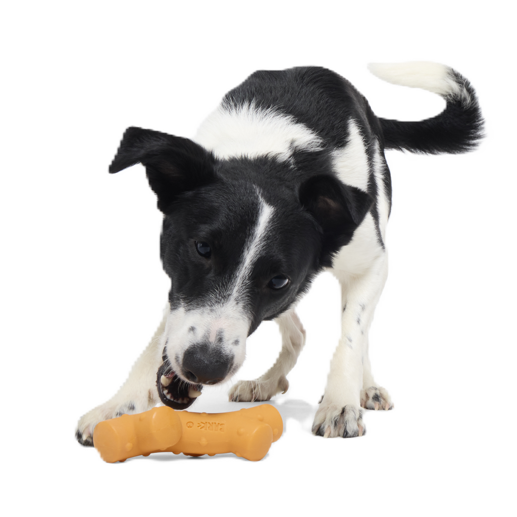 Dog Chew Toy product image 2