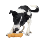 Dog Chew Toy product image 2
