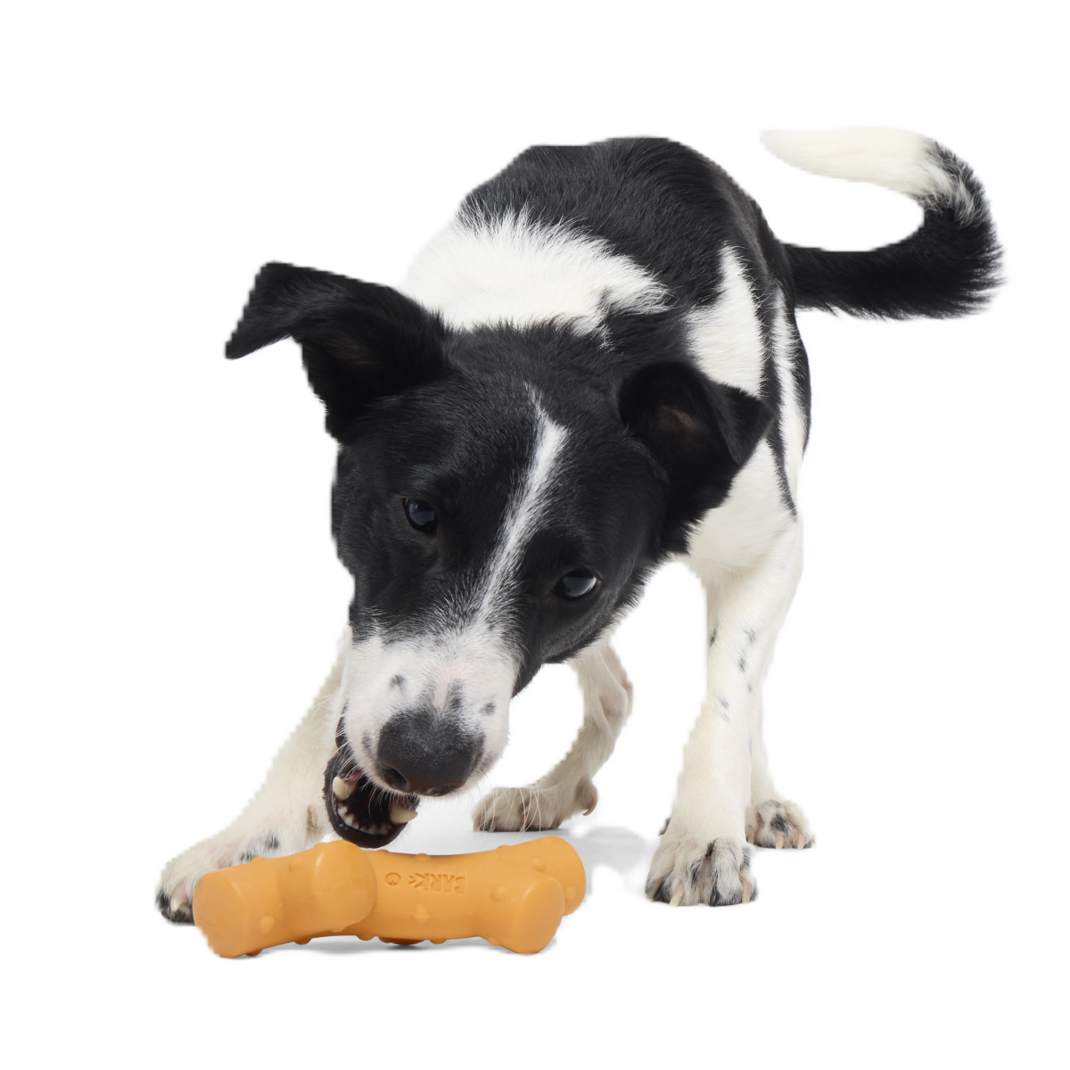 Dog Chew Toy product image 2