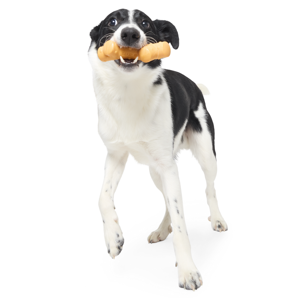 Dog Chew Toy product image 3