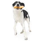 Dog Chew Toy product image 3