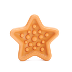 Starfish Dog Toy product image 1