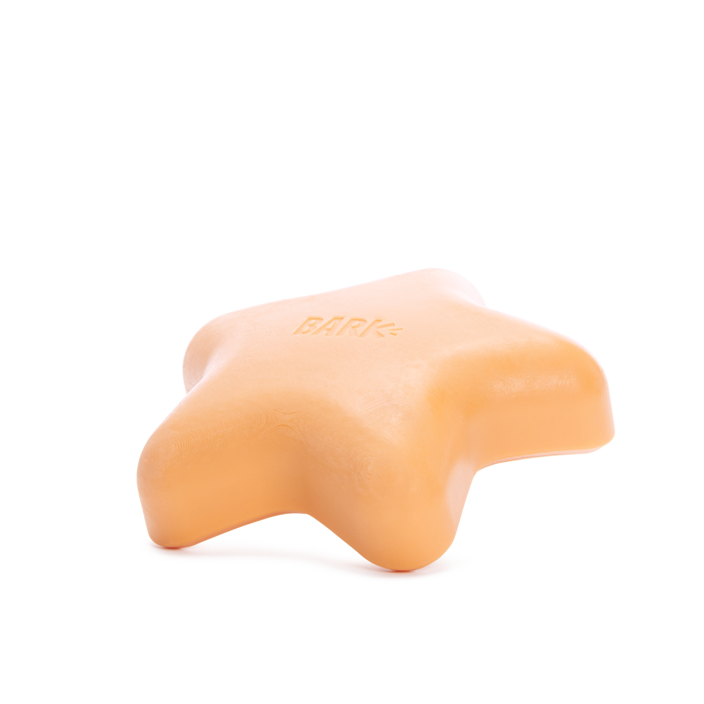 Starfish Dog Toy product image 4