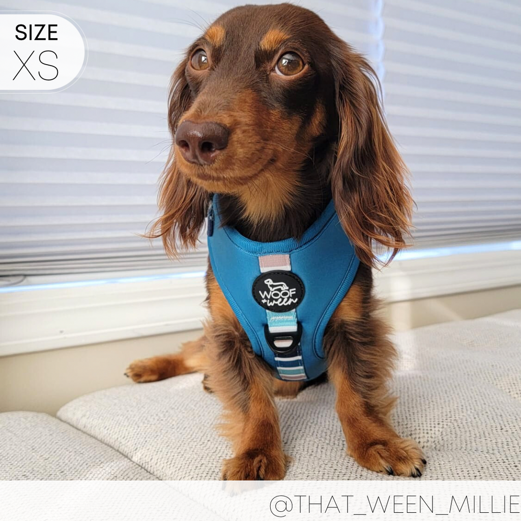 Dog Harness product image 4