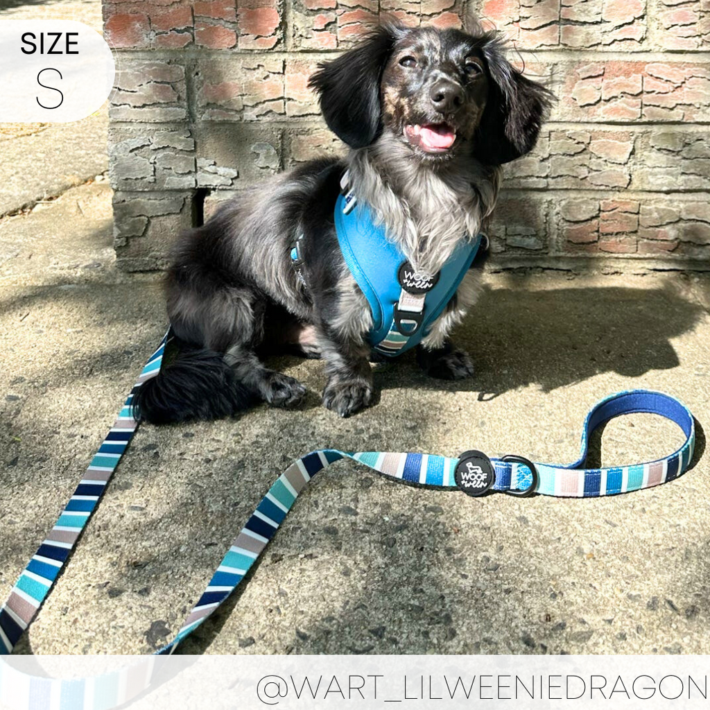 Dog Harness product image 5