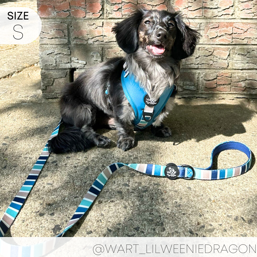 Dog Harness product image 5