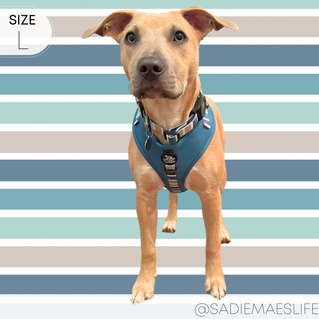 Dog Harness product image 6