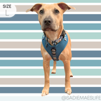 Dog Harness product image 6
