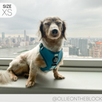Dog Harness product image 7