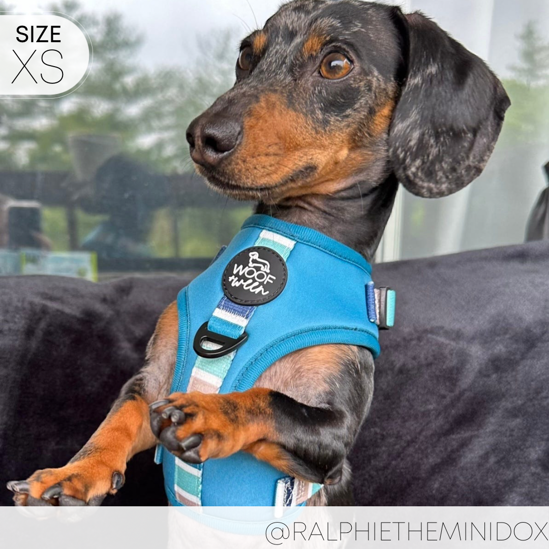 Dog Harness product image 8