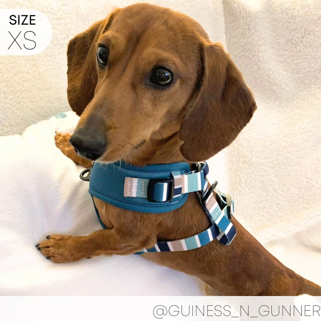 Dog Harness product image 12