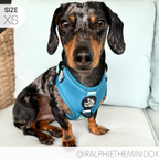 Dog Harness product image 13