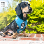 Dog Harness product image 14