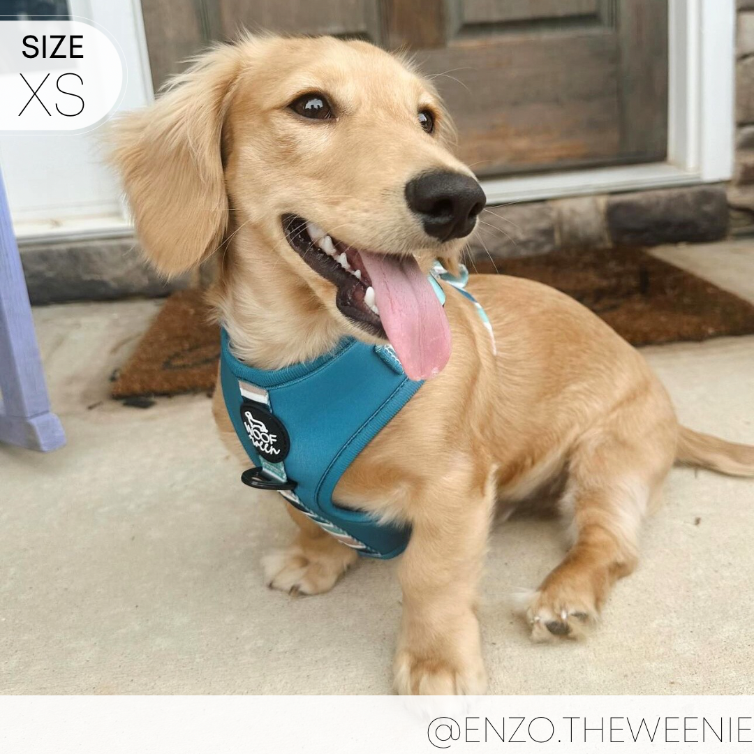 Dog Harness product image 16