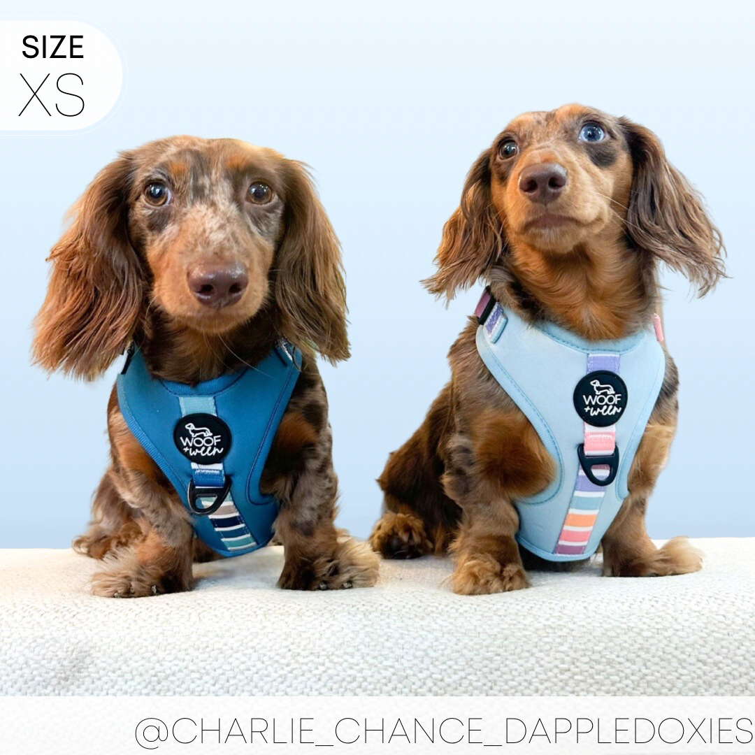 Dog Harness product image 17