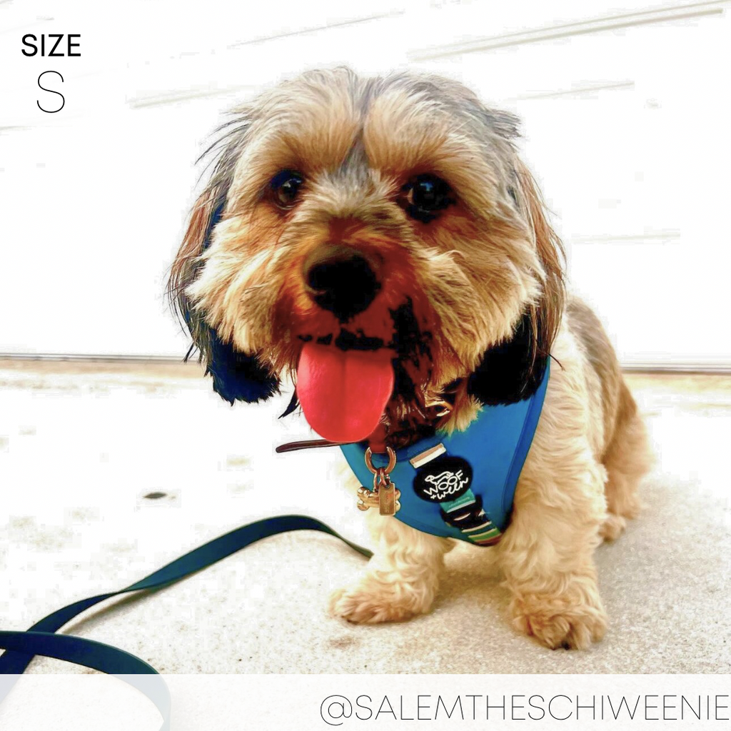 Dog Harness product image 18