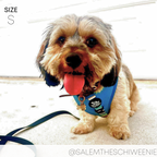 Dog Harness product image 18