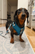 Dog Harness product image 19