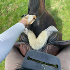 Dog Treat Pouch product image 8
