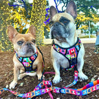 No-Pull Dog Harness product image 2
