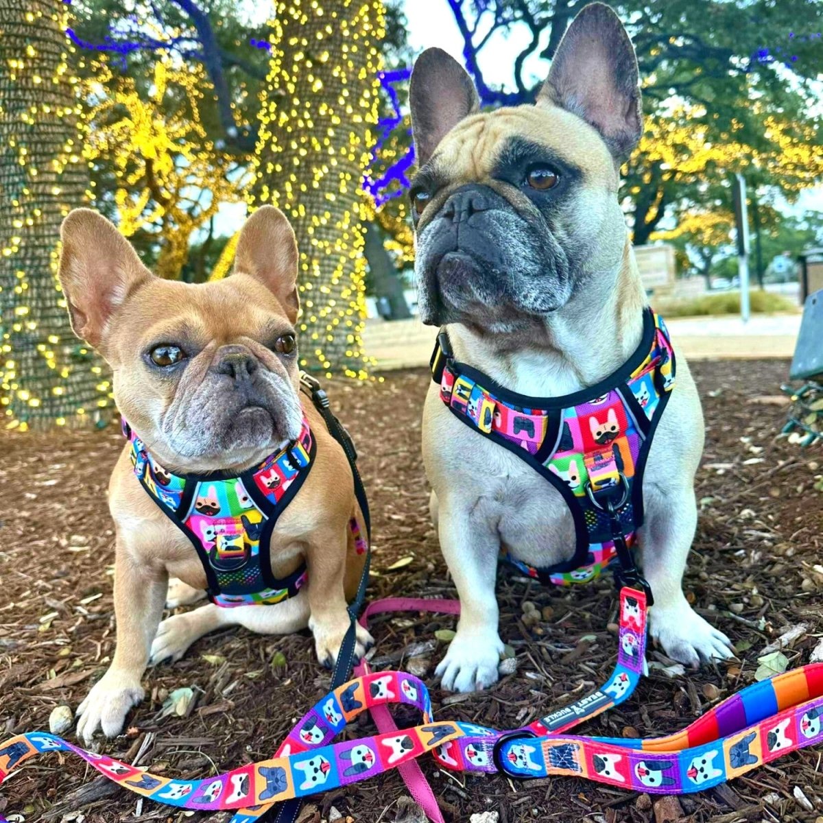 No-Pull Dog Harness product image 2