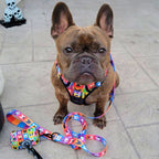 No-Pull Dog Harness product image 4