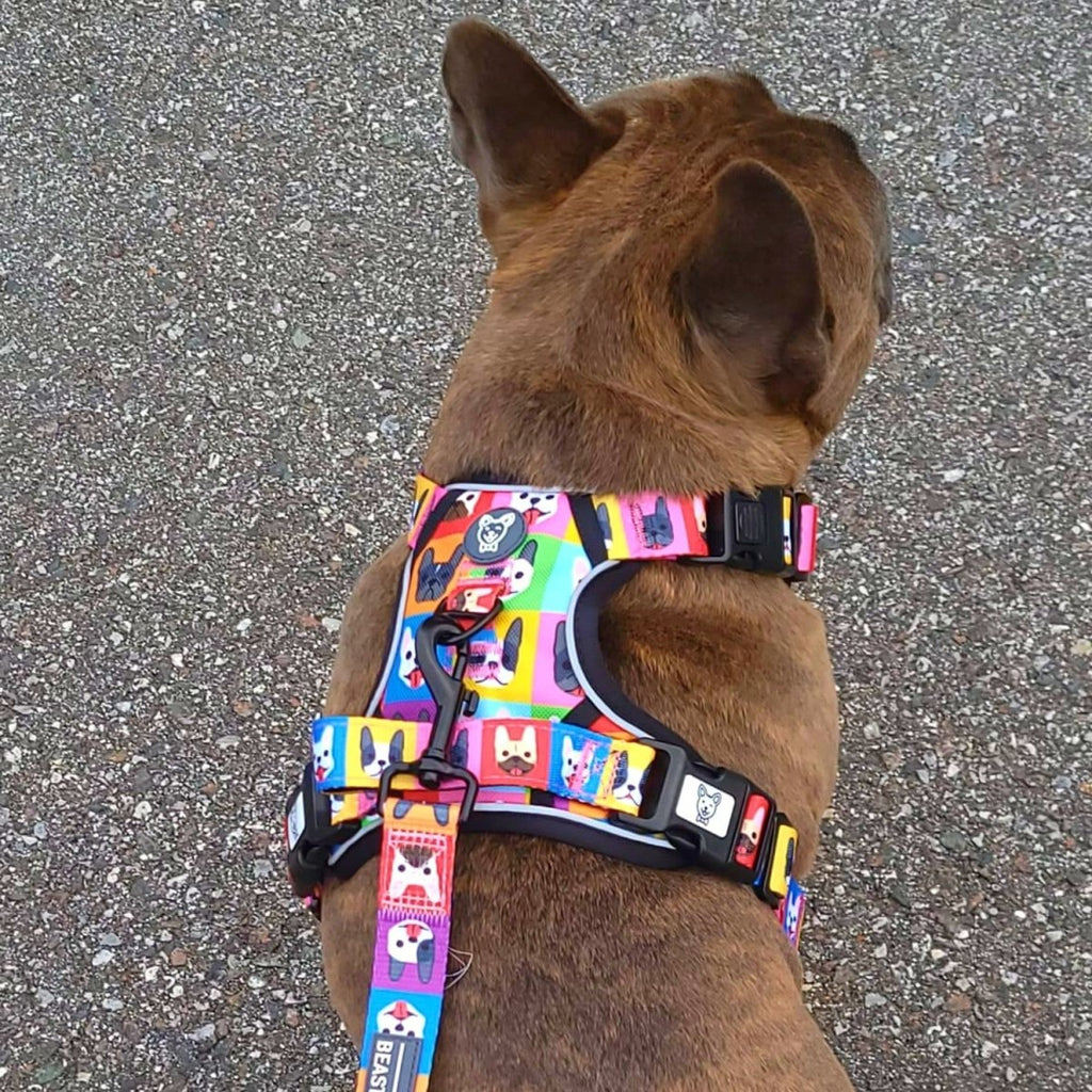 No-Pull Dog Harness product image 5