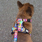 No-Pull Dog Harness product image 5