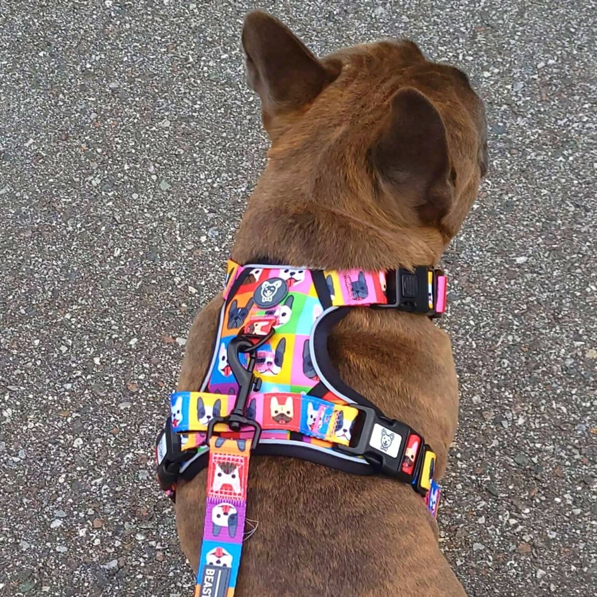 No-Pull Dog Harness product image 5